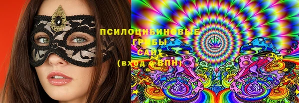 PSILOCYBIN Алексин
