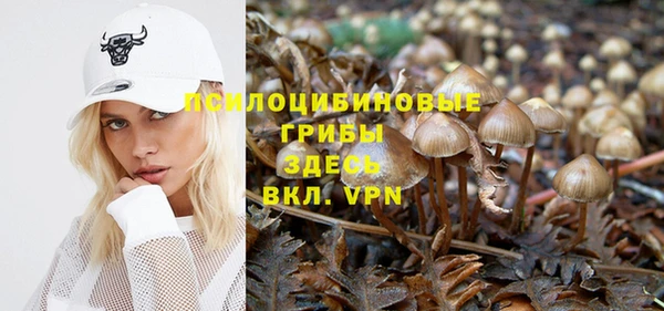 твердый Абдулино