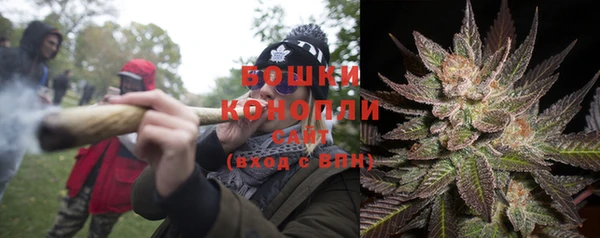 PSILOCYBIN Алексин