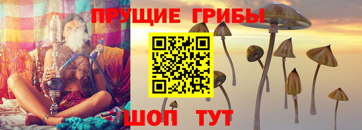 Усть-Лабинск  Галлюциногенные грибы Magic Shrooms  Вход с VPN 