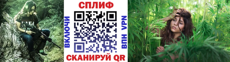Шишки марихуана Bruce Banner  Усть-Лабинск 